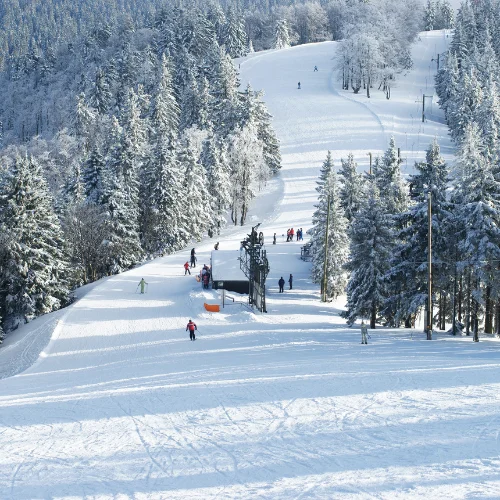 navette de station de ski depuis lyon et venisseux en taxi